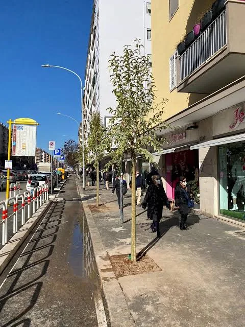 Via Tuscolana a Roma: marciapiede alberato con negozi e fermata del bus