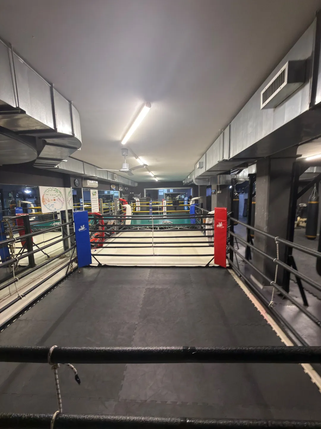 Vista di tre ring in fila alla MedusA Gym: in primo piano quello con tappeto nero, dietro quello con telo bianco e in fondo quello con tappeto verde
